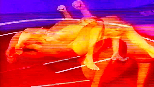 Chris Dano Takes Control: Intense Wrestling Domination with Rob Steele – GayPulse 18+