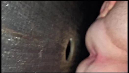 King Goes Wild in Private Booth With Two Hung Studs – Steamy Anal Fun 18+
