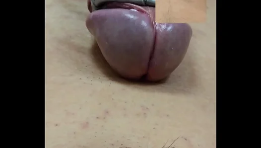 Hands-Free Ecstasy: Amateur Guy Cums Hard With Pulsating Toy Pleasure – 18+