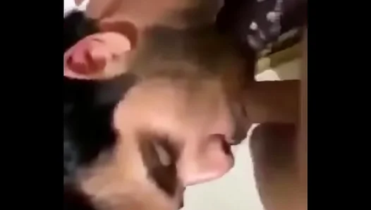 Seductive Slavic Stallion Delivers Mind-Blowing Blowjob Handjob Action – NaughtyLads 18+