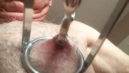 Nipple Play Desire: A Submissives Journey into Forbidden Pleasure – 18+