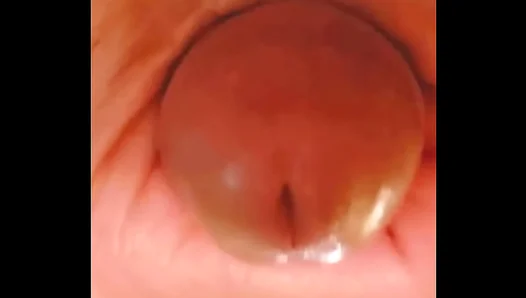 Sensual Blowjob Mastery: Amateurs Devour Cockheads in Steamy Solo Action – 18+