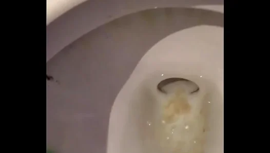 Cum Trickling from My Ass as I Jack Off in the Mens Room – HotSoloGay 18+