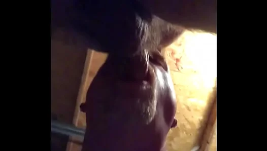Hard Bareback Ride: Steamy Amateur Fuck Session in Hidden Garage – 18+