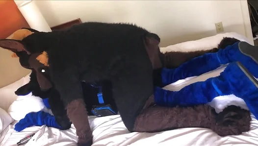 Kairo Murr Gets Rough in Furry Doggy Style Fucking – 18+