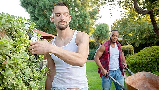 Dillon Diaz Johnny B Ignite Passionate Interracial Fire – IconMale