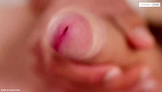 John Smith Shines in Steaming Encounter with Teasing Sub – GayXXX Pleasure