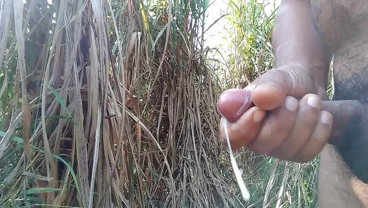 Hot Handjob Under the Sun: Sticky End in Sugarcane Fields – GayPornHub 18+