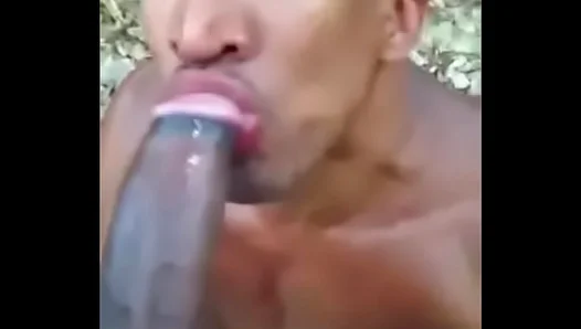 Mature Stud Fuels Burning Desire in Wild Gay Tryst – Hot Shemale XXX