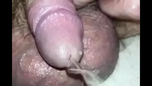 Tiny Dick, Big Thrills: Up-Close Piss Play Action – CloseUpGayAction 18+