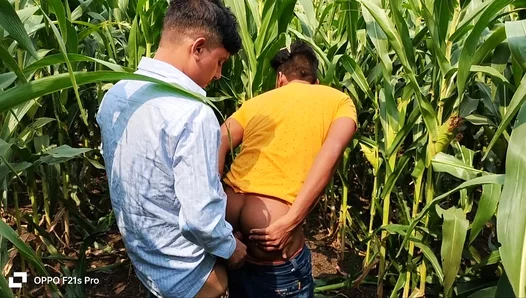 Young Jock Tempts Sexy Prof Amid Golden Wheat Fields – 18+