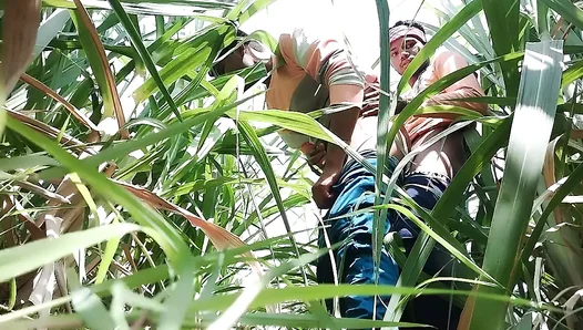 Hidden Lust in the Wheatfield: Steamy Desi Men Explore Desire – Gay Hindi Heat 18+