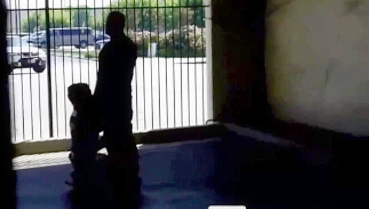 Steamy Encounter: Hidden Parkade Blowjobs Hot Dual Pleasure – Gay XXX
