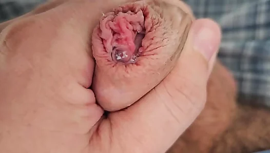 From Soft to Sopping Wet: Intimate Close-Ups of a Thirsty Cock Begging to Be Fucked –