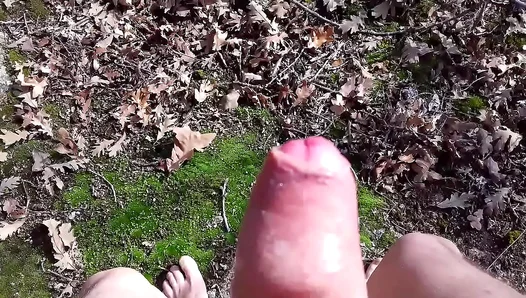 Caught Masturbating: Steamy Public BJ Leads to Massive Load – PublicGay Action