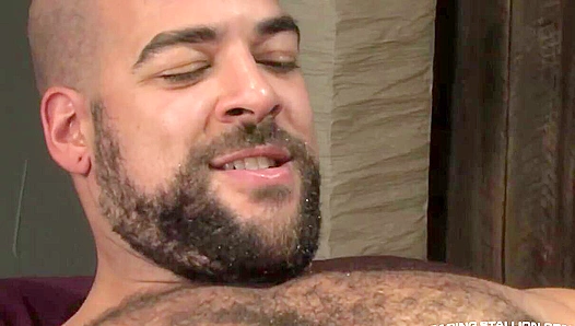 Big Hairy Bear Claims Whats Mine: Raw Anal Domination – TinyGays 18+